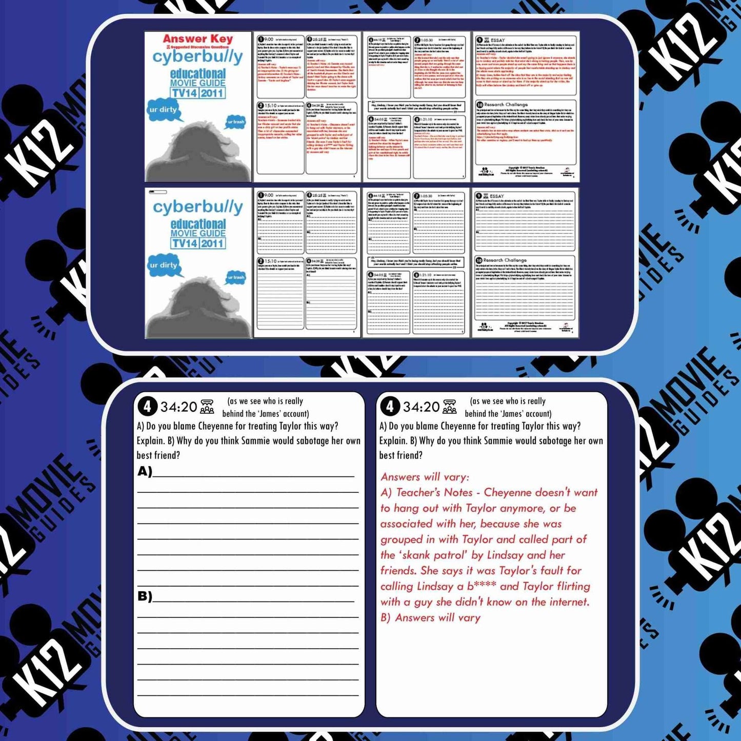 Cyberbully Movie Guide | Questions | Worksheet (TV14 - 2011) Free Sample