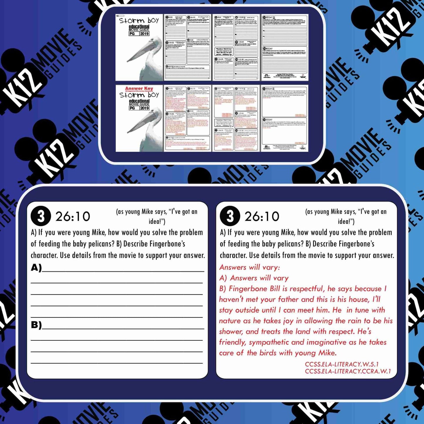 Storm Boy Movie Guide | Questions | Worksheet | Google Form (PG - 2019) Free Sample