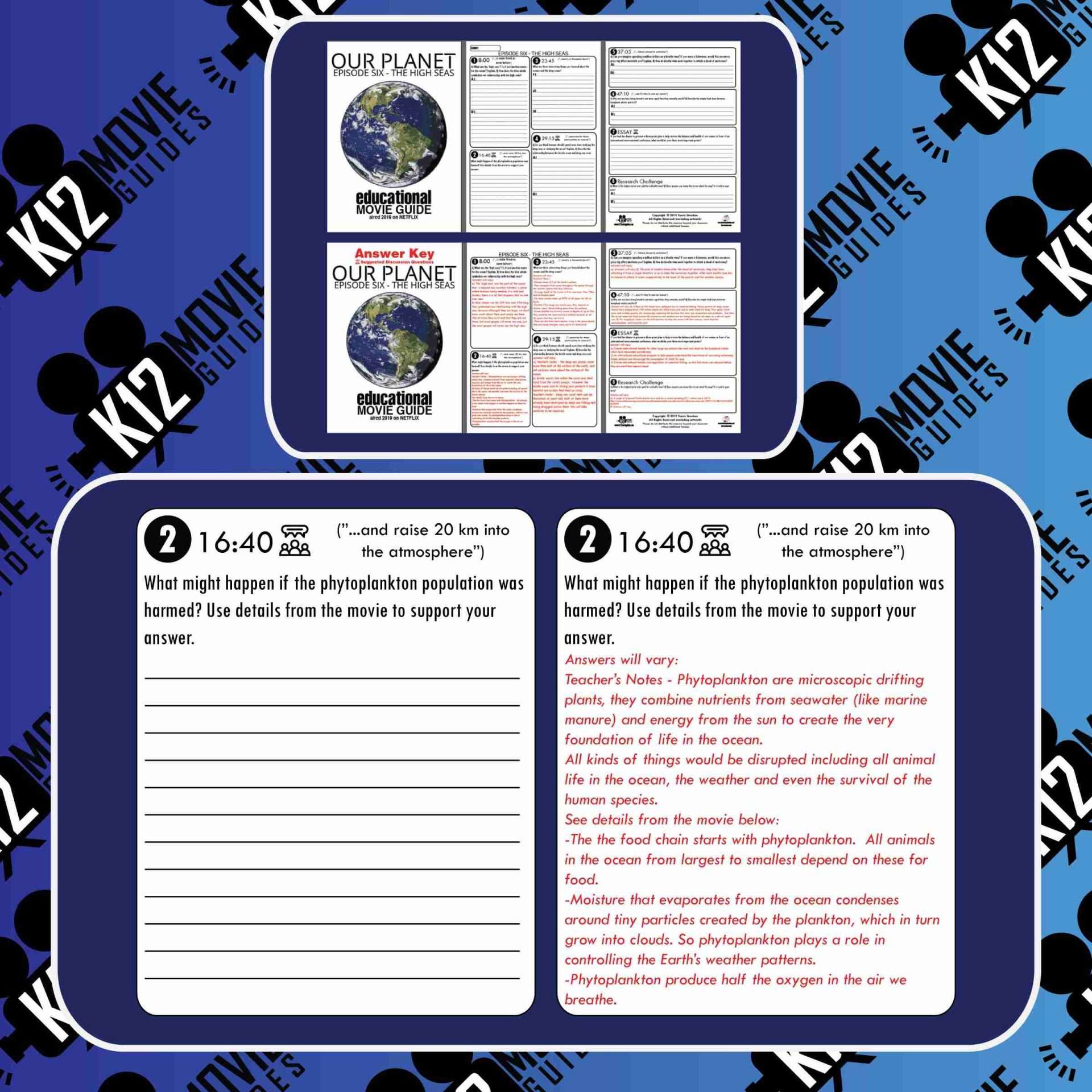 Our Planet Documentary (E06) The High Seas Movie Guide (G - 2019) Free Sample