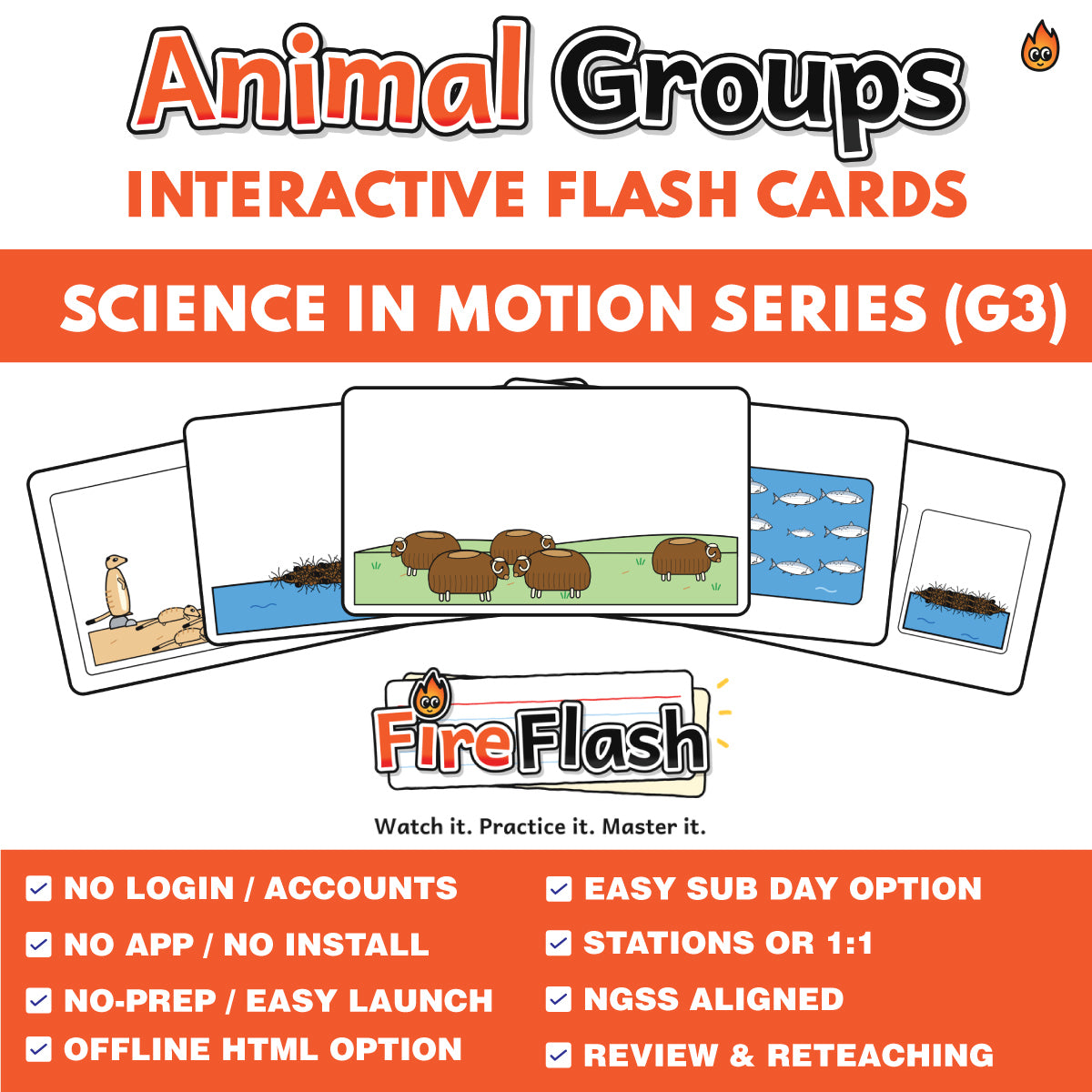 FireFlash | Animals Working Together | Grade 3 Animated Science Cards