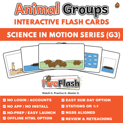 FireFlash | Animals Working Together | Grade 3 Animated Science Cards