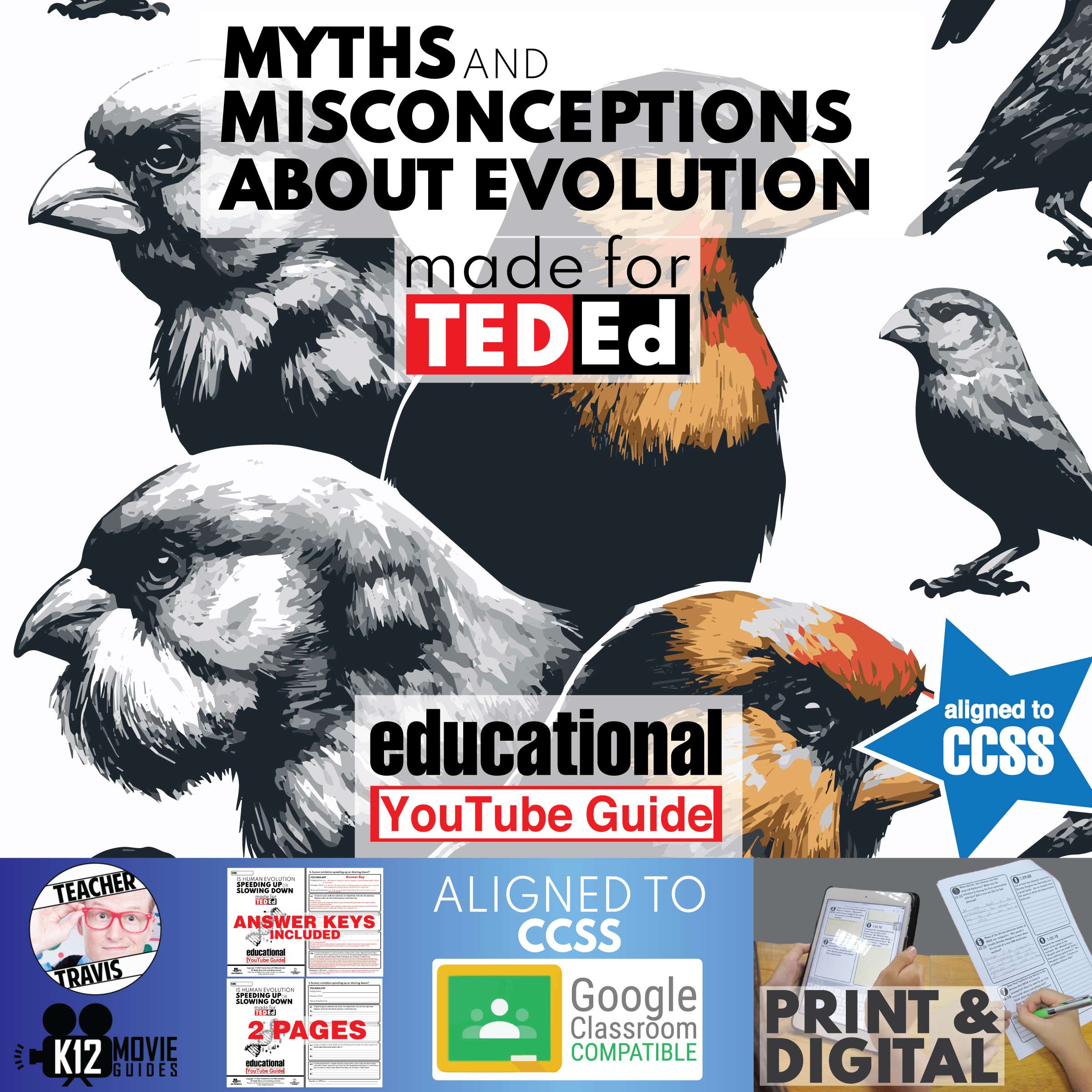 Myths and Misconceptions About Evolution YouTube Video Guide ...