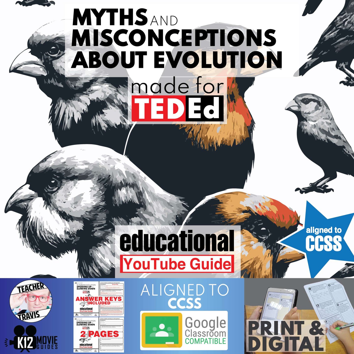 TedEd | Myths and Misconceptions About Evolution | Youtube Video Guide Cover