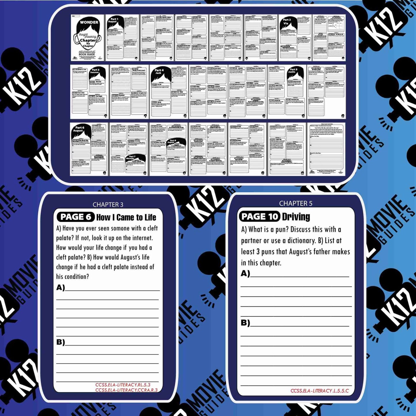 Wonder Book Study Guide - Chapter by Chapter High-Level Questions - Google Form - Sample