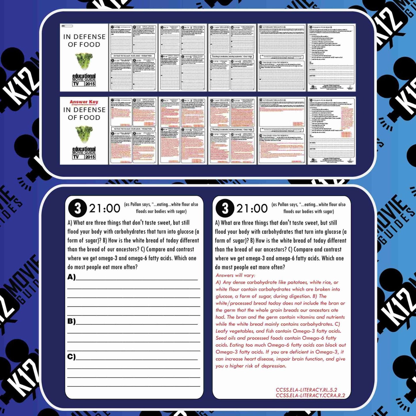 In Defense of Food Documentary Movie Guide | Worksheet | Questions (TV - 2015) Sample