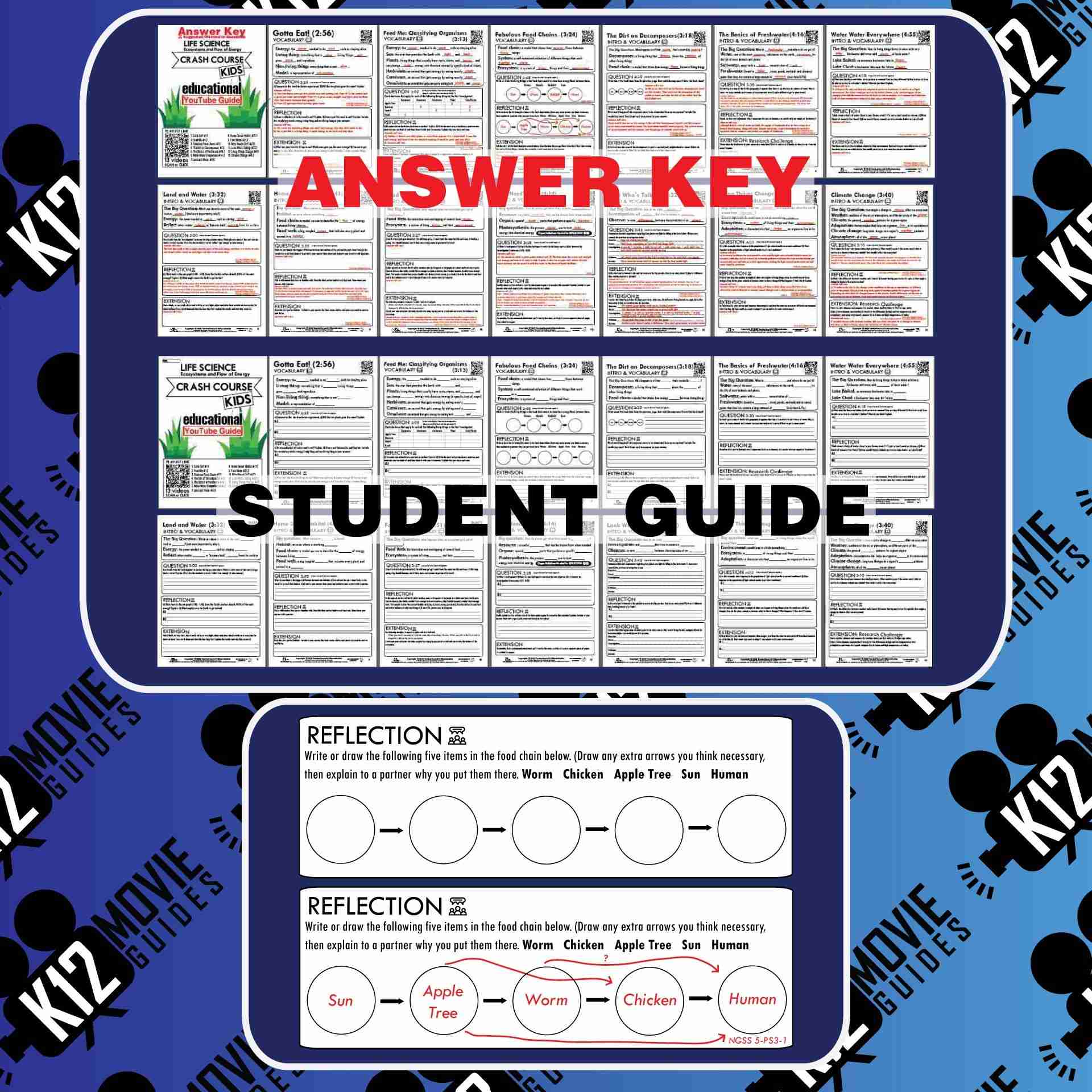 Crash Course Kids - Life Science Playlist Youtube Guide | Questions | Worksheet Sample Questions