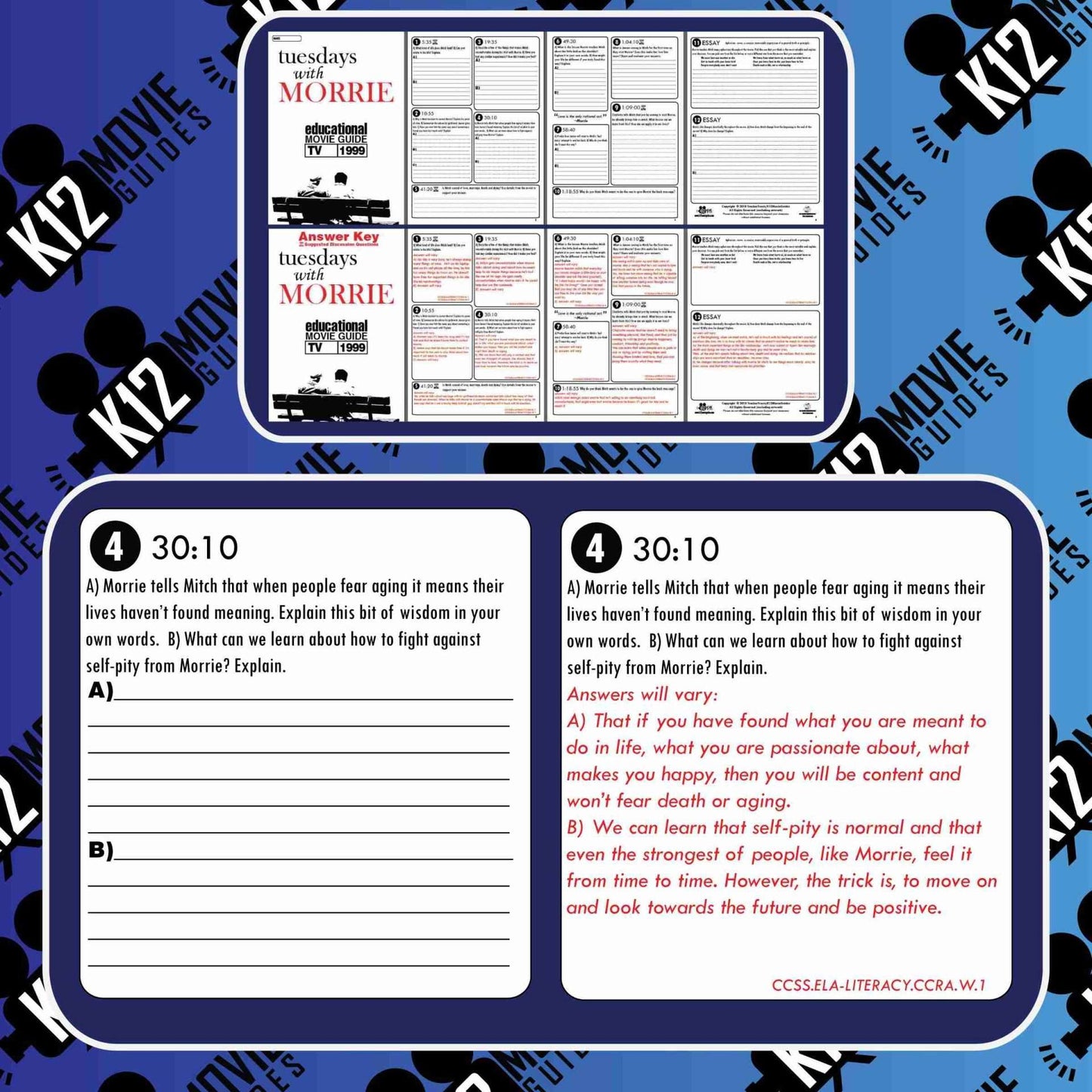 Tuesdays With Morrie Movie Guide | Questions | Worksheet (TV - 1999) Free Sample
