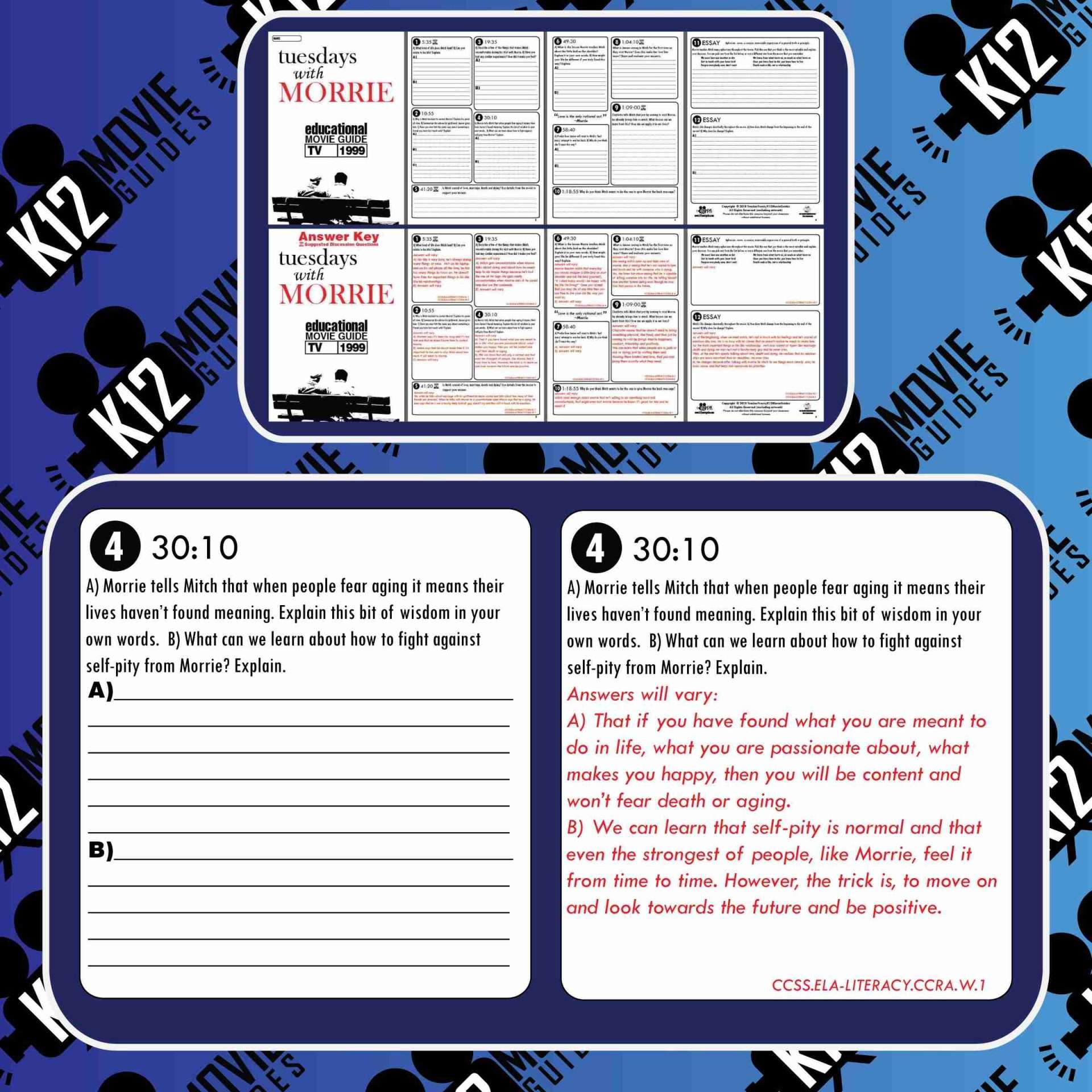 Tuesdays With Morrie Movie Guide | Questions | Worksheet (TV - 1999) Free Sample