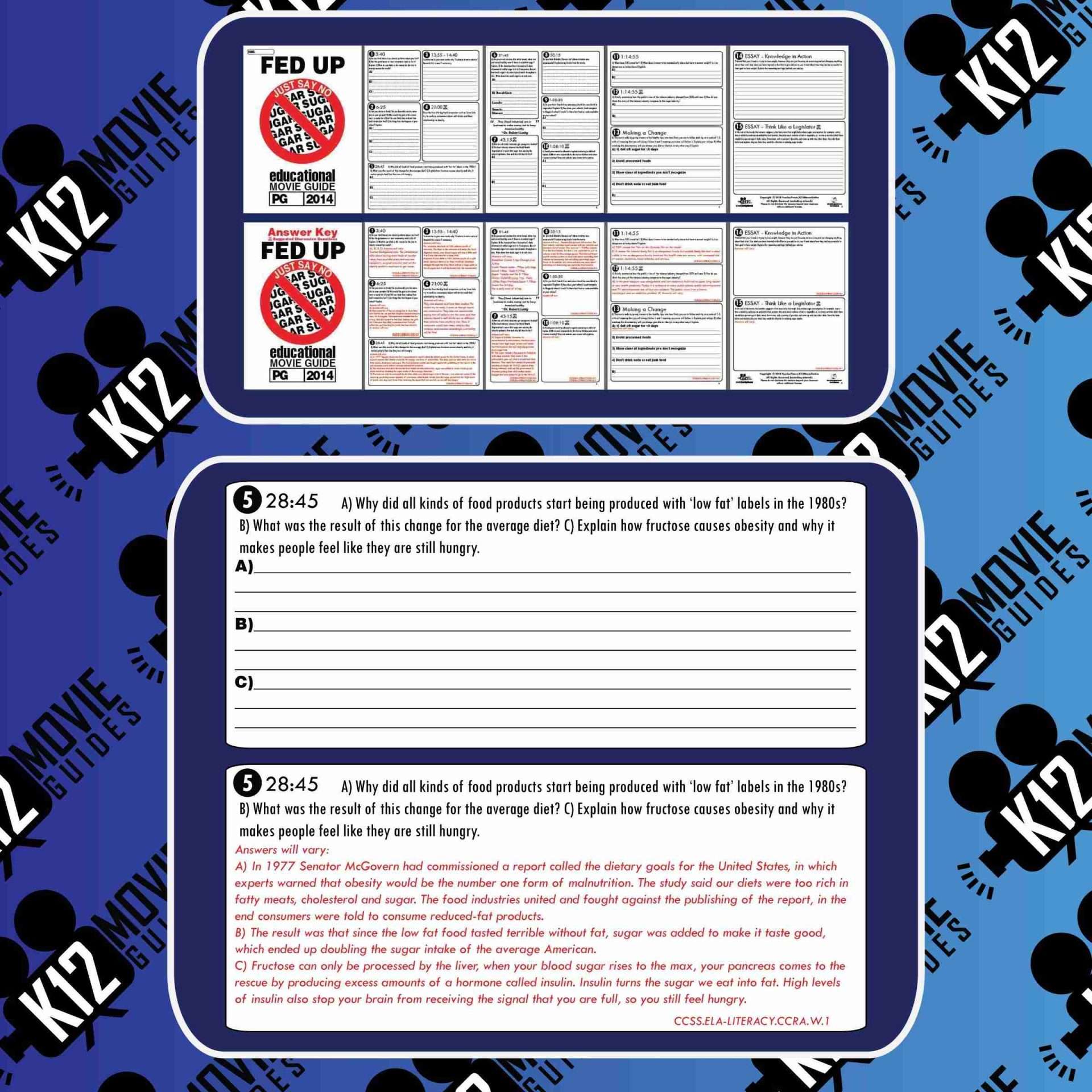 Fed Up Documentary Movie Guide | Questions | Worksheet | Google Form (PG - 2014) Free Sample