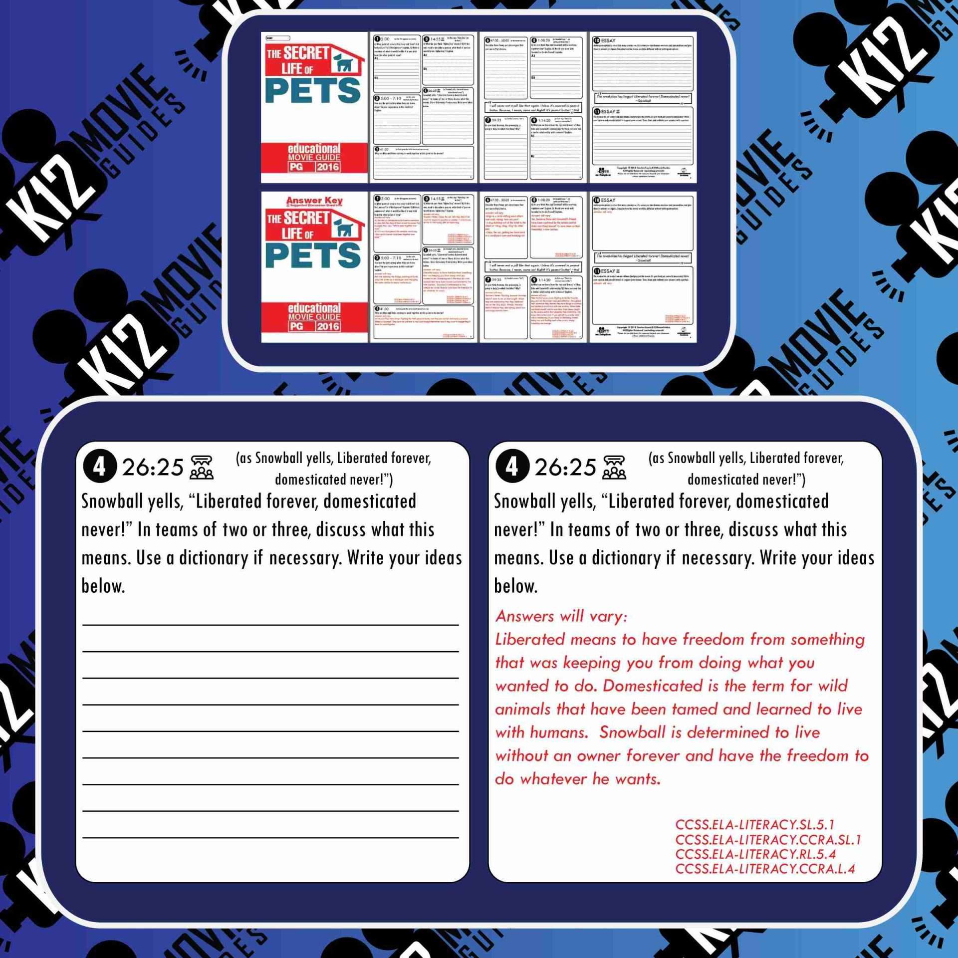 The Secret Life of Pets Movie Guide | Questions | Google Forms (PG - 2016) Free Sample