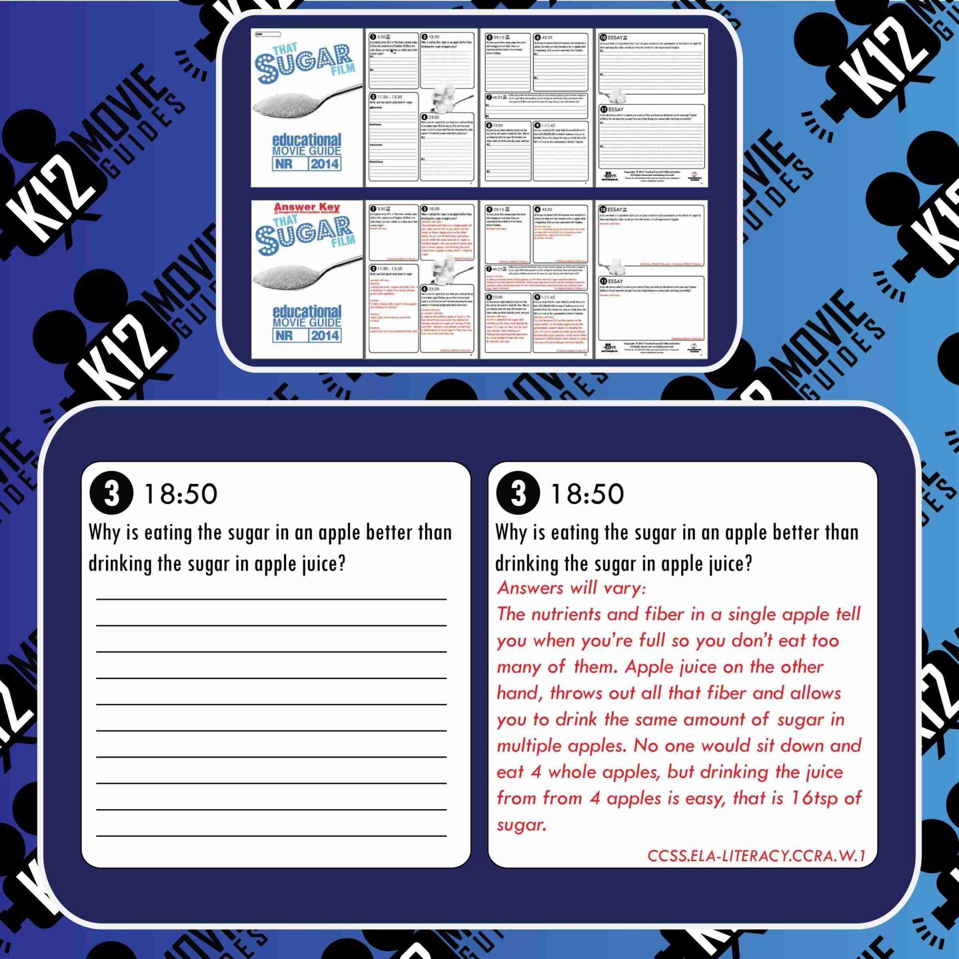 That Sugar Film Movie Guide | Questions | Worksheet (NR - 2014) Free Sample