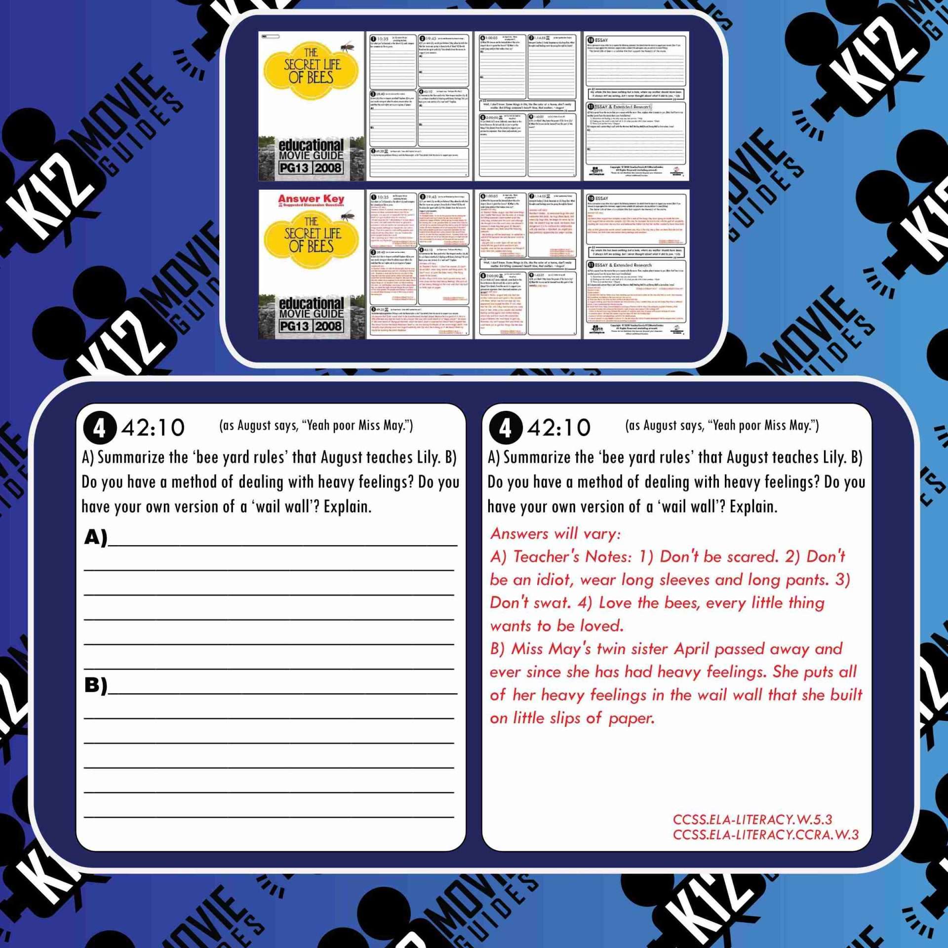 The Secret Life of Bees Movie Movie Guide | Questions | Worksheet (PG - 2020) Free Questions