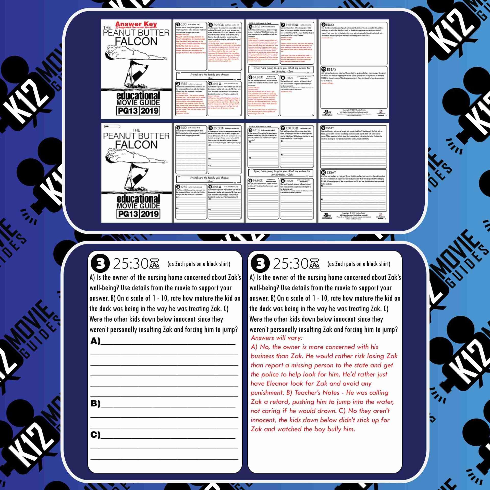 The Peanut Butter Falcon Movie Guide | Questions | Worksheet (PG - 2019) Free Sample