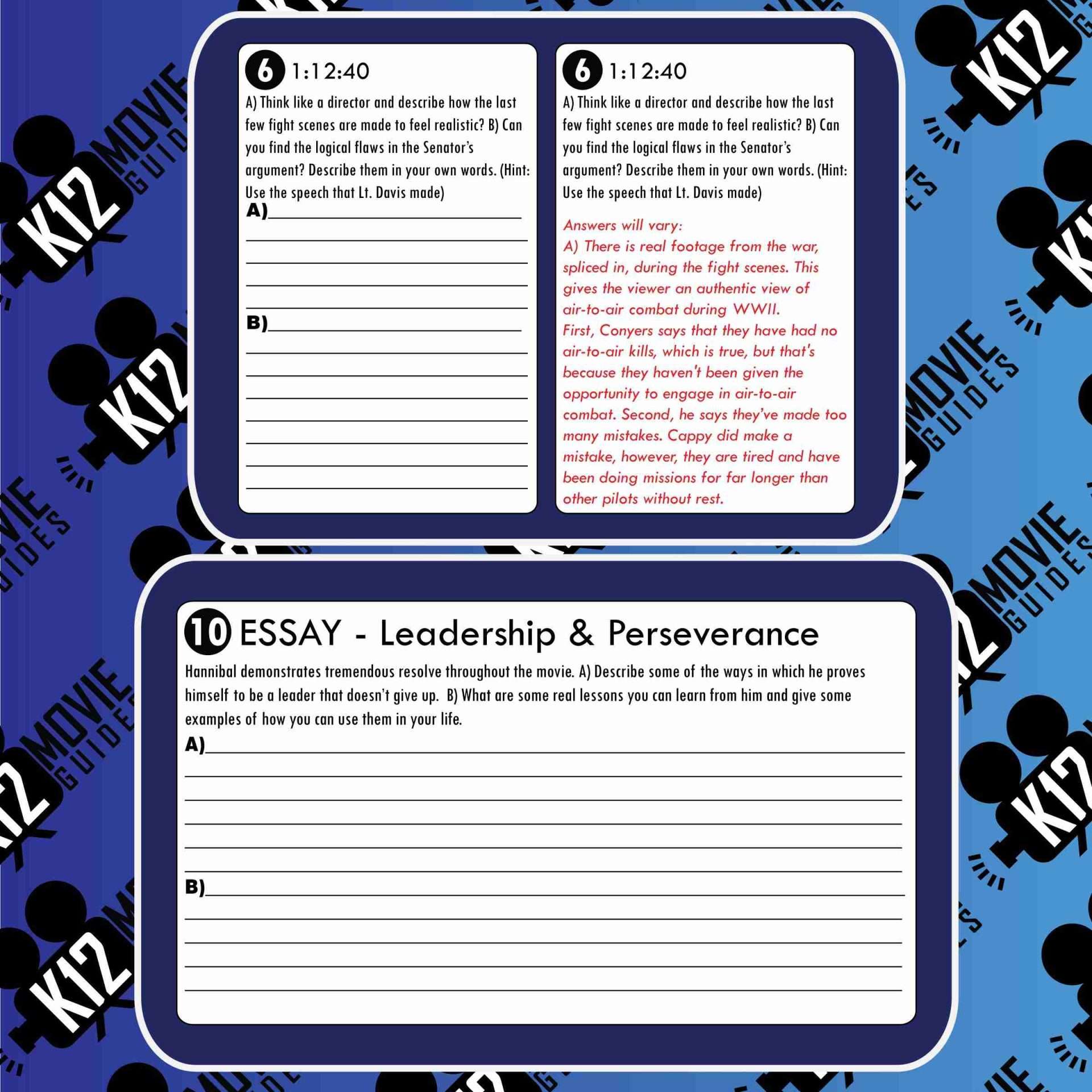 The Tuskegee Airmen Movie Guide | Questions | Worksheet (PG13 - 1995) Sample