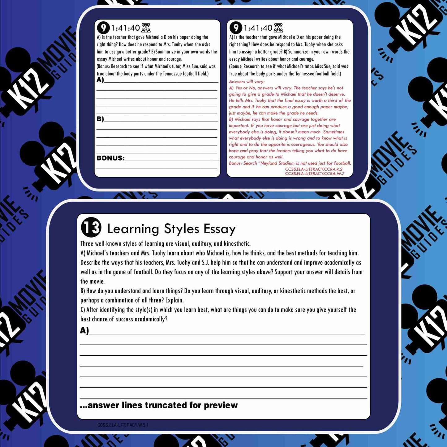 The Blind Side Movie Guide | Questions | Worksheet (PG13 - 2009) Free Questions
