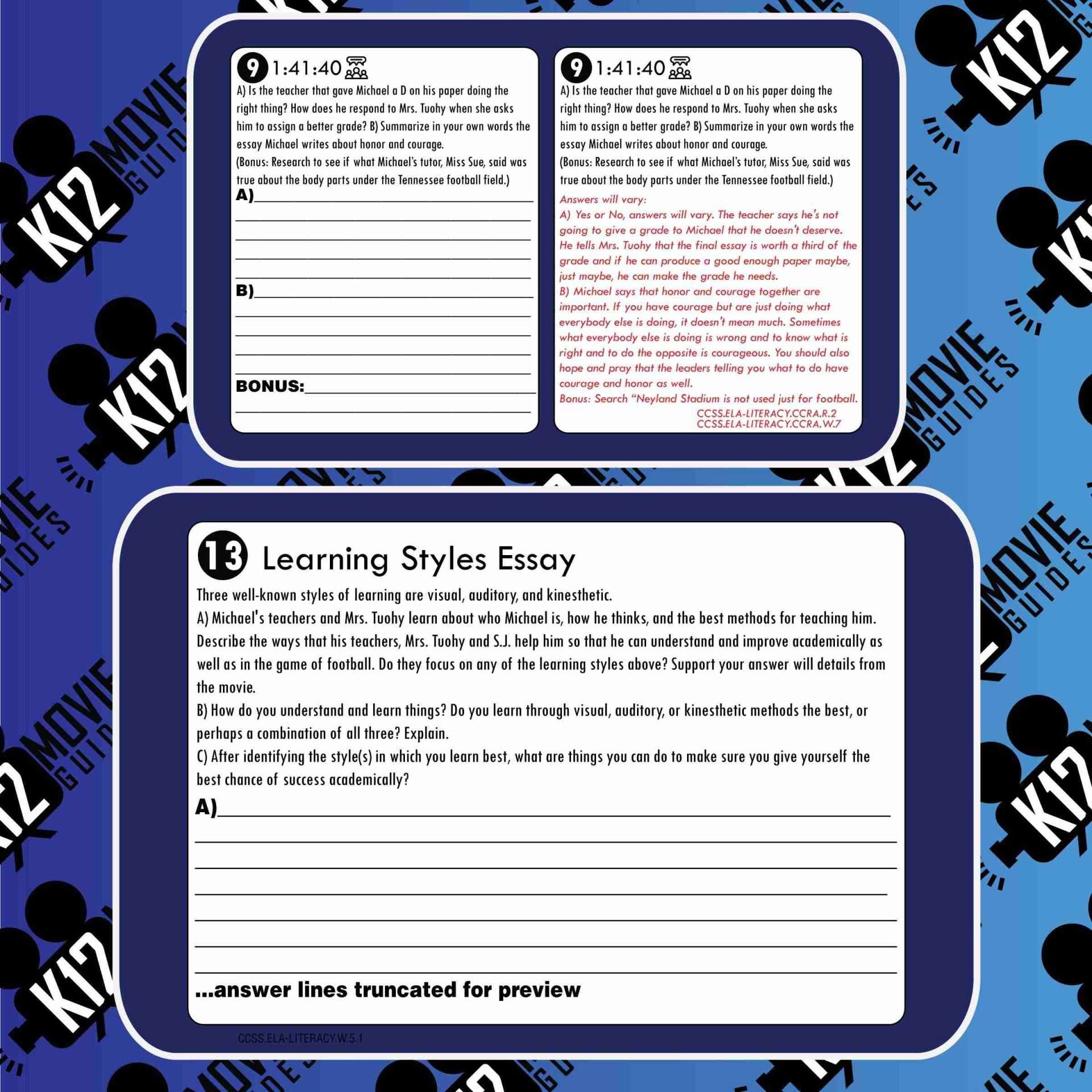The Blind Side Movie Guide | Questions | Worksheet (PG13 - 2009) Free Questions