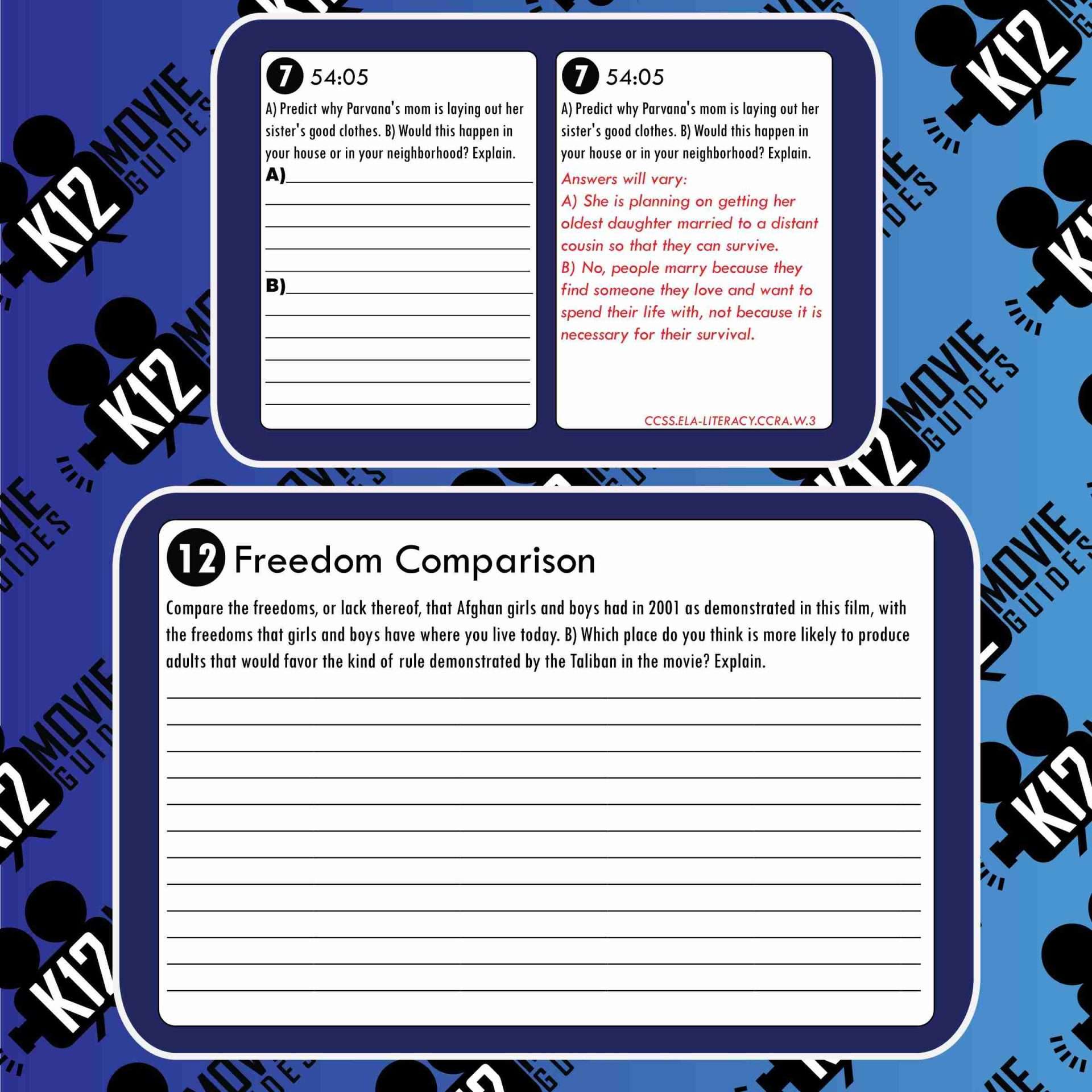 The Breadwinner Movie Guide | Questions | Worksheet (PG13 - 2017) Free Sample