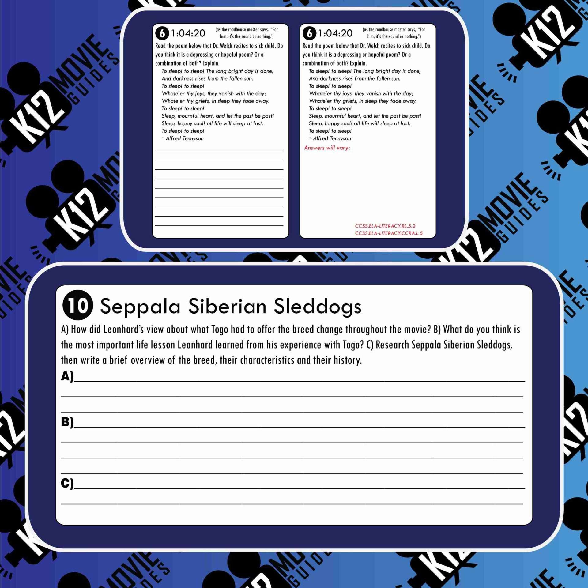 Togo Movie Guide | Questions | Worksheet (PG - 2019) Free Sample