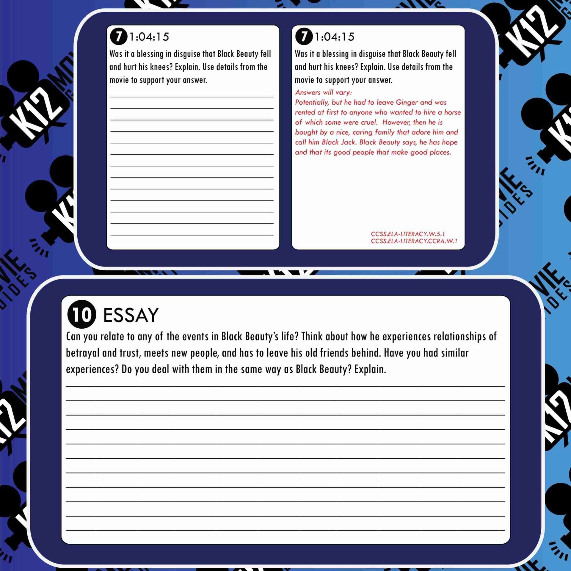 Black Beauty Movie Viewing Guide | Worksheet | Questions (G - 1994) Sample