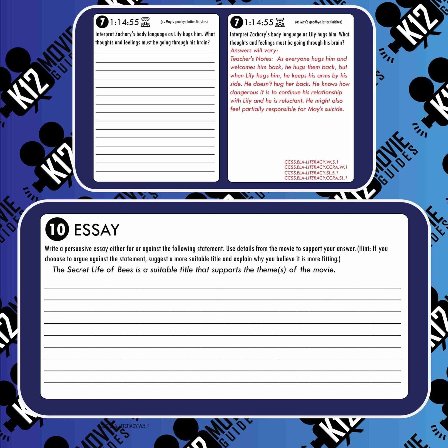 The Secret Life of Bees Movie Movie Guide | Questions | Worksheet (PG - 2020) Free Questions