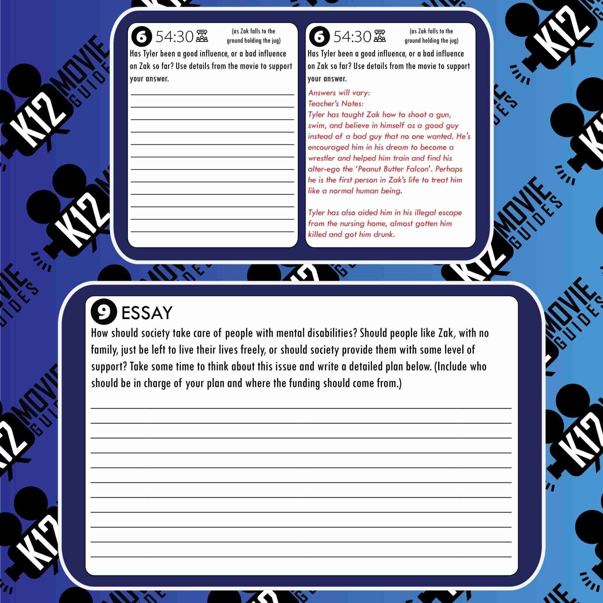 The Peanut Butter Falcon Movie Guide | Questions | Worksheet (PG - 2019) Free Sample